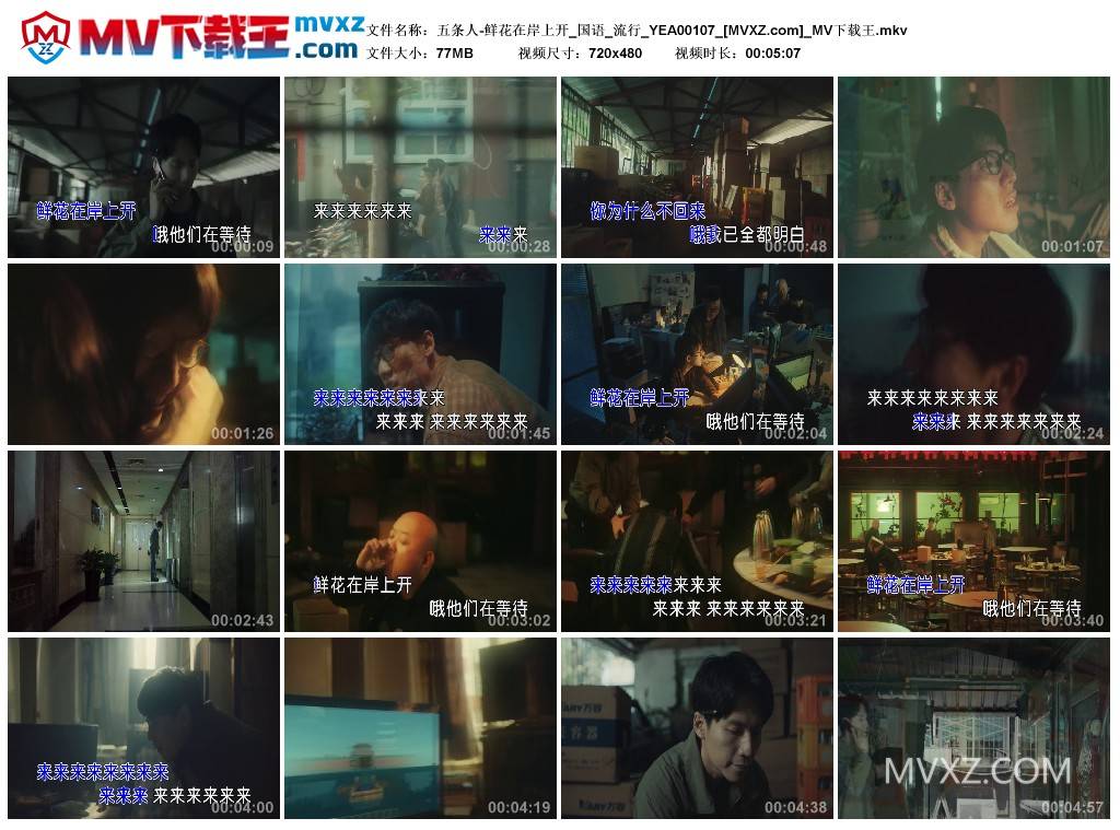 五条人-鲜花在岸上开_国语_流行_YEA00107